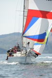 sea-pie of cultra gbr4254 ss13 sat 1569